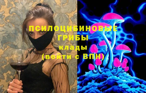 ALPHA-PVP Пролетарск