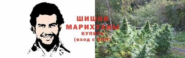 твердый Горняк
