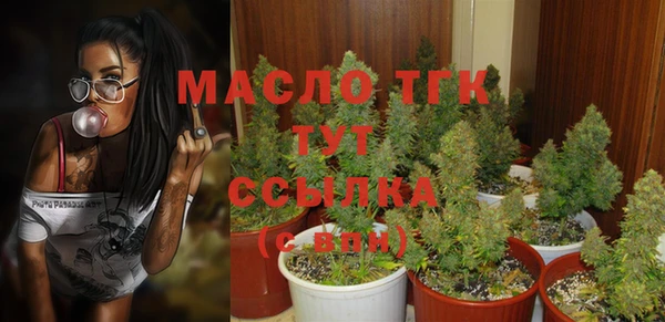 твердый Горняк