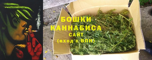 бошки Гусев