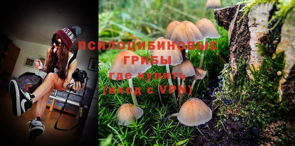 марки nbome Гусиноозёрск