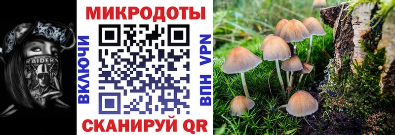 это Telegram  Старица  Галлюциногенные грибы GOLDEN TEACHER  купить  сайты 